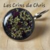 Dormeuse Grise